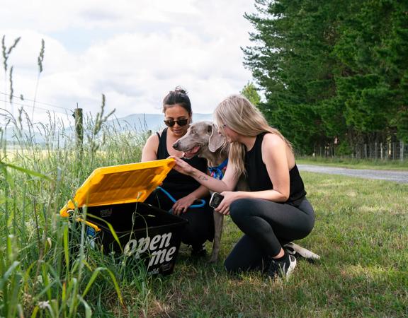 Two people with a dog looking into a black Welly Walks box with a yellow lid on the Greytown to Woodside Trail, beside a grassy path.