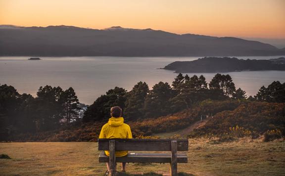 A person wearing a yellow jacket sits on a wooden bench over looking the bay from the Skyline Walkway at Mount Kaukau in Ngaio in Wellington at sunset. 