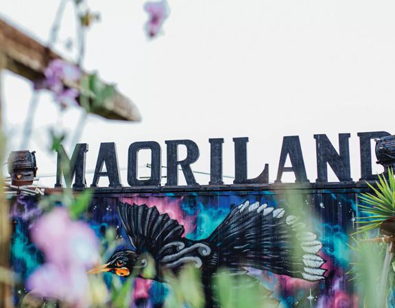 A mural of a tui painted with a MAORILAND sign at Maoriland Film Festival.