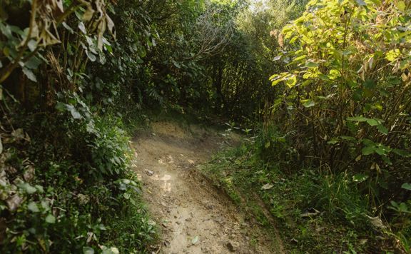 Jail Brake trail section showing a dirt path with a sharp turn, surrounded by native trees.