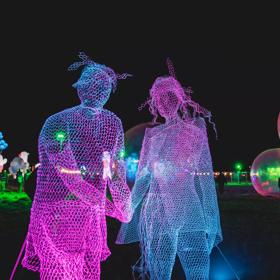 Two fuchsia and blue illuminated figures made from chicken wire and other lit-up installations as a part of HighLight: Carnival of Lights in Upper Hutt, New Zealand. 