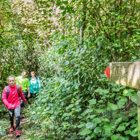 Three people each dressed in pink, green and blue walking in green forest next to a wooden directional sign that reads Totara Loop.