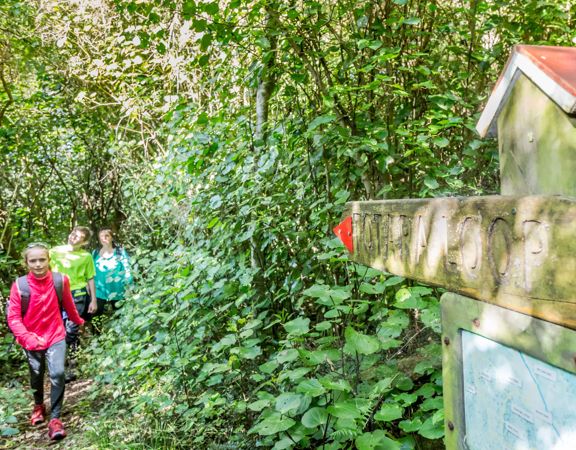 Three people each dressed in pink, green and blue walking in green forest next to a wooden directional sign that reads Totara Loop.
