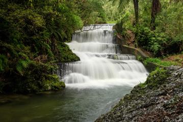 A cascading waterfall in the forest.