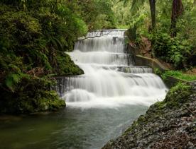 A cascading waterfall in the forest.