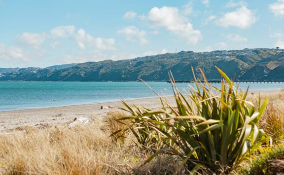 Petone Beach in Lower Hutt on a bright sunny day.