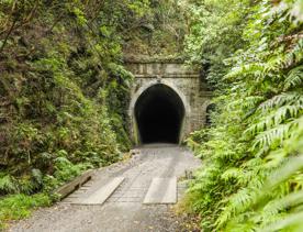 Historic tunnel surrounded by green native trees on the Remutaka Cycle Trail