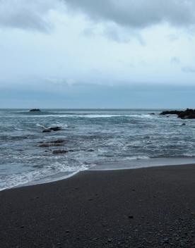 This clothing-optional beach is a good spot for scenic walks and wildlife spotting. At the western entrance of Wellington Harbour, picturesque Breaker Bay beach is part of the Oruaiti Reserve.