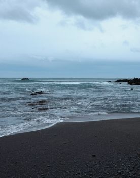 This clothing-optional beach is a good spot for scenic walks and wildlife spotting. At the western entrance of Wellington Harbour, picturesque Breaker Bay beach is part of the Oruaiti Reserve.