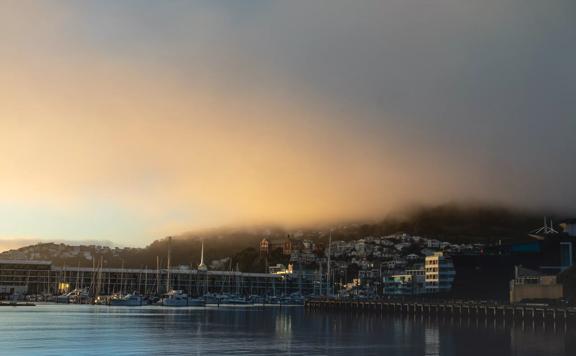 The Wellington waterfront on a foggy evening. 