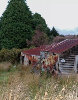Corrugated iron sheds sit among the grassland of Wallaceville Farmland.