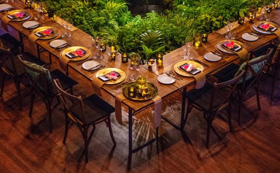 Tables set up inside Michael Fowler Centre surrounded by ferns and wooden floors.
