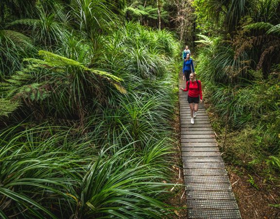 3 people walking along a boardwalk looking at the native trees on the Kowhai Street Track to Butterfly Creek.