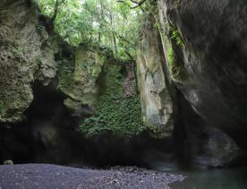 Patuna Chasm, a cave system in a gorge of a river cutting through limestone cliff.