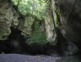 Patuna Chasm, a cave system in a gorge of a river cutting through limestone cliff.
