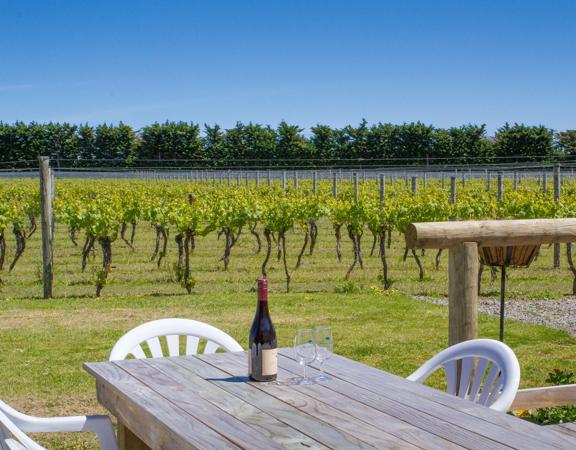 The Margrain Vineyard located in Martinborough in the Wairarapa region. There is a bottle of red wine and two glasses set up on a patio table.