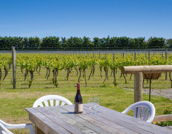 The Margrain Vineyard located in Martinborough in the Wairarapa. There is a bottle of red wine and two glasses set up on a patio table. 