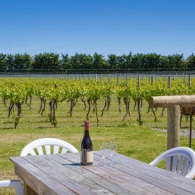 The Margrain Vineyard located in Martinborough in the Wairarapa. There is a bottle of red wine and two glasses set up on a patio table. 
