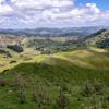 Rolling grassy hills with groups of trees scattered throughout under a blue sky with big white fluffy clouds.