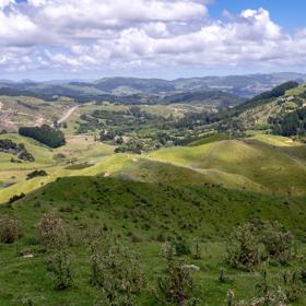 Rolling grassy hills with groups of trees scattered throughout under a blue sky with big white fluffy clouds. 