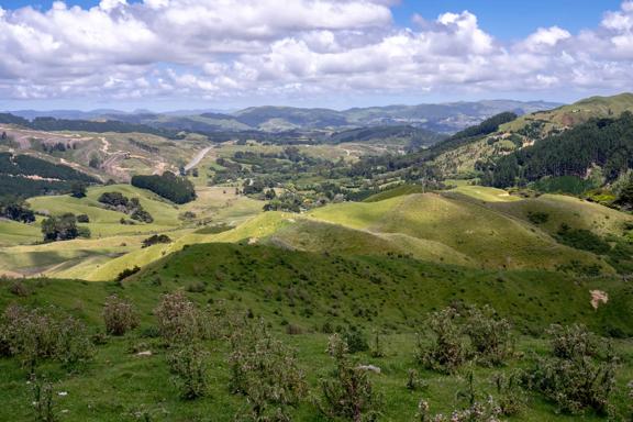 Rolling grassy hills with groups of trees scattered throughout under a blue sky with big white fluffy clouds. 