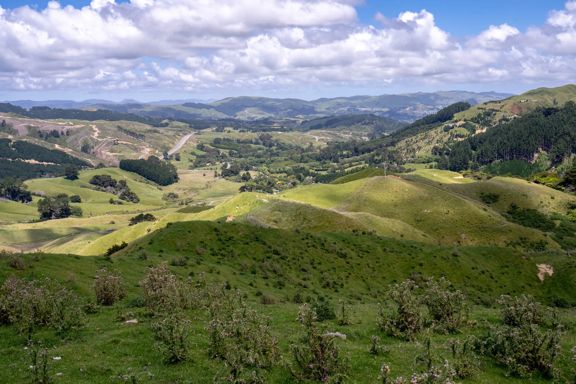 Rolling grassy hills with groups of trees scattered throughout under a blue sky with big white fluffy clouds.