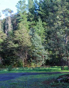 Mangaroa Valley Road screen location, a scenic rural setting with native forest, farmland, and a mountainous backdrop.