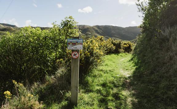 The Connect Four trail in Belmont Regional Park. The trail is grassy and surrounded by gorse bush.