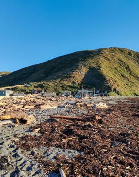 A quaint seaside village at the base of dramatic cliffs, Mākara is just 30 minutes from Wellington’s city centre. On its rugged western coast is a seaside village and a gently sloping, stony beach.