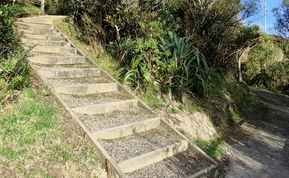 Wooden box steps on the Wrights Hill Lookout Loop Walk.