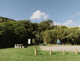 The car park at Barry Hadfield Nikau Reserve.