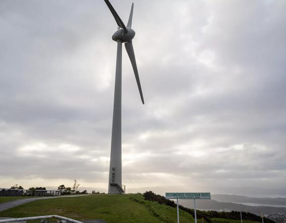 The Brooklyn Wind Turbine sits on a hill above Wellington, with views of the city. Bush and trees surround the area.