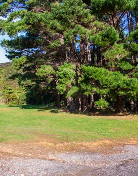 Camp Wainuiomata screen location. Has several buildings and is surrounded by forest and bush.