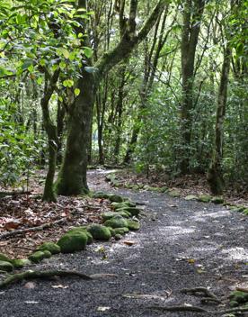 A well-equipped and popular outdoor space for families in Upper Hutt. On the edge of Te Awa Kairangi, Hutt River, Harcourt Park in Upper Hutt is a 40-minute drive north of Wellington.