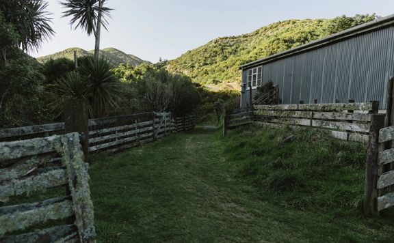 The beginning of the 4 Degrees Track in Belmont Regional Park. A Wooldshed sits to the right and flax on the left, with old wooden fences pathing the way.
