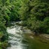 The Pākuratahi River in Kaitoke Regional Park. 