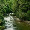 The Pākuratahi River in Kaitoke Regional Park.