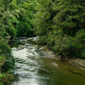 The Pākuratahi River in Kaitoke Regional Park. 