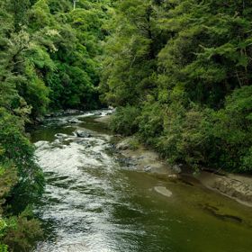 The Pākuratahi River in Kaitoke Regional Park.