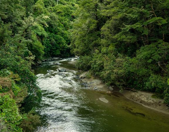 The Pākuratahi River in Kaitoke Regional Park.