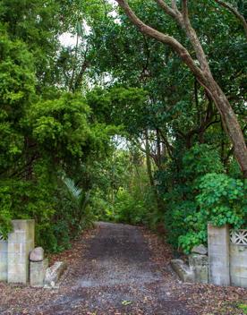 The screen location of Waitohu Valley Ōtaki, features native and exotic forests, pastoral lands, and wetlands.