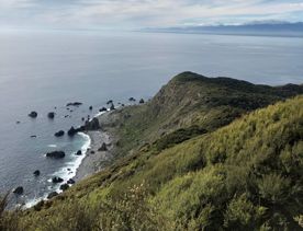 A viewpoint from the Okupe Valley Loop Track, looking north over the Kāpiti Coast.