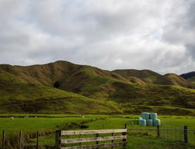 The screen location of Waitohu Valley Ōtaki, features native and exotic forests, pastoral lands, and wetlands.