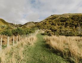 A path along a fence in a grassy field that leads to green hills.