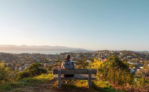 A person sits on a wooden bench overlooking a view of Wellington from the Northern Walkway Trail. 