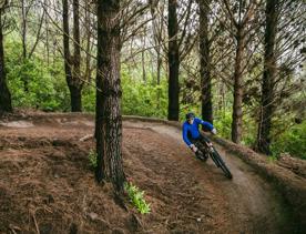 A cyclist wearing a blue jumper, helmet and sunglasses rides down a forest trail.