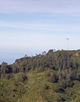 The Wrights Hill Fortress screen location, located in Karori overlooking Wellington from an old gun emplacement. The location includes historic monuments, underground landmarks, and tunnels.