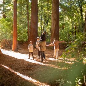 A family walking through the trees of Pūkaha National Wildlife Centre.
