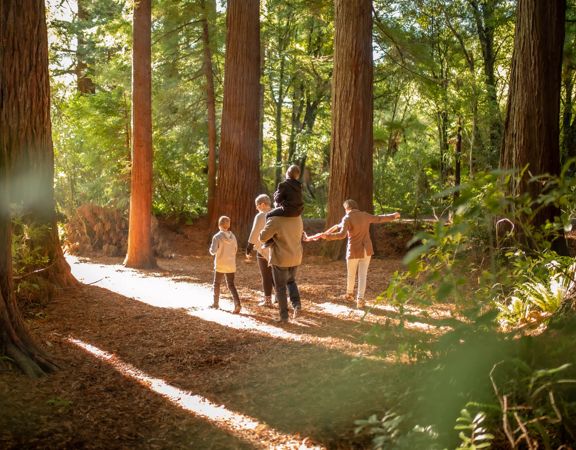 A family walking through the trees of Pūkaha National Wildlife Centre.