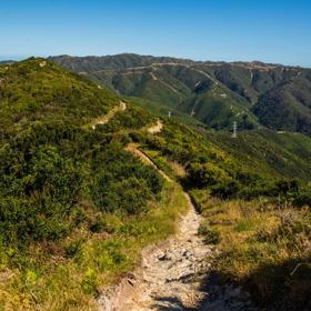 The Mid Peak Loop, a popular 8km intermediate route traversing eight different trails in the Mākara Peak Mountain Bike Park.